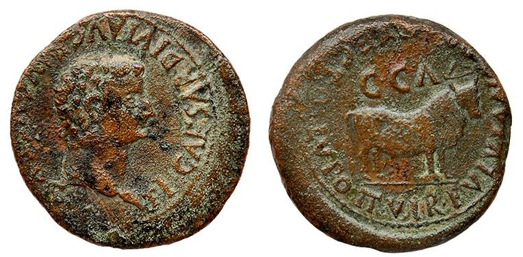 289   -  CAESARAUGUSTA. As. Tiberio. A/ Cabeza laureada a der.; TI CAESAR DIVI AVG F AVGVSTVS. R/ Toro mitrado a der.; encima C C A; LVPO II VIR FVLVIAN(O PRAE)FECTO. AE 11,65 g. 30 mm. RPC-339. APRH-339b. ACIP-3065a. CC-4748, mismo ejemplar. Pátina verde rugosa. BC+/ MBC-. Muy rara.