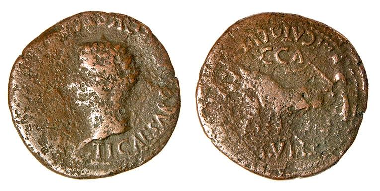 303   -  CAESARAUGUSTA. As. Tiberio. A/ Cabeza laureada a izq.; TI CAESAR (DIVI AVGVSTI F AVGVSTVS) poco visible. R/ Yunta fundacional a izq., encima C C A, debajo II VIR; M CATO L (VETTIACVS). AE 12,17 g. 29 mm. RPC-349. APRH-349. ACIP-3075. CC-4764, mismo ejemplar. Erosiones. BC-. Escasa.