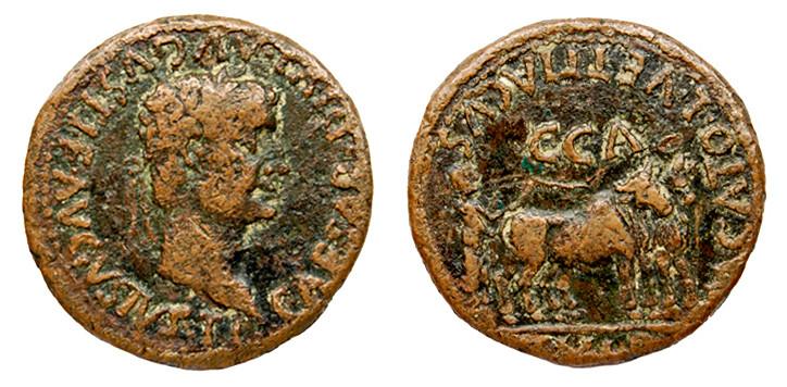 304   -  CAESARAUGUSTA. As. Tiberio. A/ Cabeza laureada a der.; TI CAESAR DIVI AVGVSTI F AVGVSTVS. R/ Yunta fundacional a der., encima C C A, debajo II VIR; M CATO L VETTIACVS. AE 13,94 g. 28 mm. RPC-351. APRH-351. ACIP-3077. CC-4766, mismo ejemplar. Pequeñas erosiones. MBC-/MBC. Escasa.