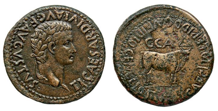 319   -  CAESARAUGUSTA. As. Tiberio. A/ Cabeza laureada a der.; TI CAESAR DIVI AVG F AVGVSTVS. R/ Toro mitrado a der., encima C C A; T CAECILIO LEPIDO C AVFIDIO GEMELLO II VIR. AE 12,81 g. 29 mm. RPC-367. APRH-367b. ACIP-3096a. CC-4787, mismo ejemplar. Pequeñas erosiones en rev. MBC+/EBC-. Escasa.