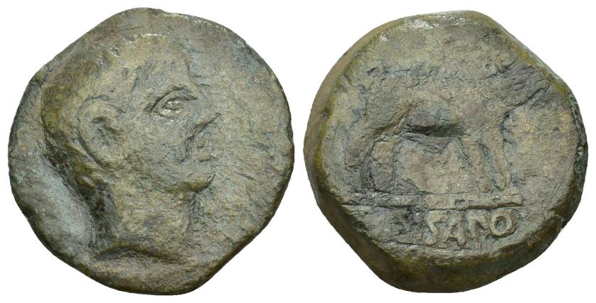 144   -  HISPANIA ANTIGUA. SISAPO. As. A/ Cabeza masculina a der. R/ Jabalí a der., bajo línea SISAPO. AE 16,8 g. 28,47 mm. I-2253. ACIP-2442. Campos repasados. BC. Rara. Ex Pliego, 5-12-2001.