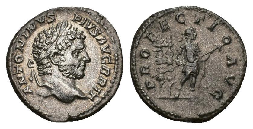 366   -  IMPERIO ROMANO. CARACALLA. Denario. Roma (210-213). A/ Cabeza laureada a der.; ANTONINVS PIVS AVG BRIT. R/ El emperador en traje militar a der. con lanza, detrás dos estandartes; PROFECTIO AVG. AR 3,69 g. 18,5 mm. RIC-225. EBC-/MBC.