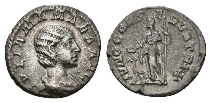 383   -  IMPERIO ROMANO. JULIA MAMEA. Denario. Roma (225-235). A/ Busto diademado y drapeado a der.; IVLIA MAMAEA AVG. R/ Juno a izq. con pátera, cetro y a sus pies pavo real; IVNO CONSERVATRIX. AR 3,02 g. 19 mm. RIC-343. MBC.